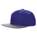 Tencel Snapback - ROYAL/H.GREY