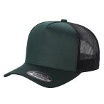 Tencel Solid Curved Bill - D.GREEN/BLK