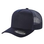 Tencel Solid Curved Bill - NAVY