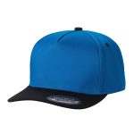 Tencel Curved Bill - AQUA/BLACK