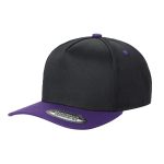 Tencel Curved Bill - BLACK/PURPLE
