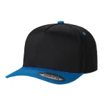 Tencel Curved Bill - BLACK/AQUA