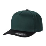 Tencel Curved Bill - D.GREEN/BLACK