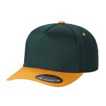 Tencel Curved Bill - D.GREEN/GOLD