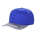 Tencel Curved Bill - ROYAL/L.GREY