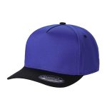 Tencel Curved Bill - ROYAL/BLACK