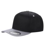 Tencel Curved Bill - BLACK/L.GREY