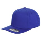 Tencel Curved Bill - ROYAL