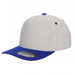 Tencel Curved Bill - TAN/ROYAL
